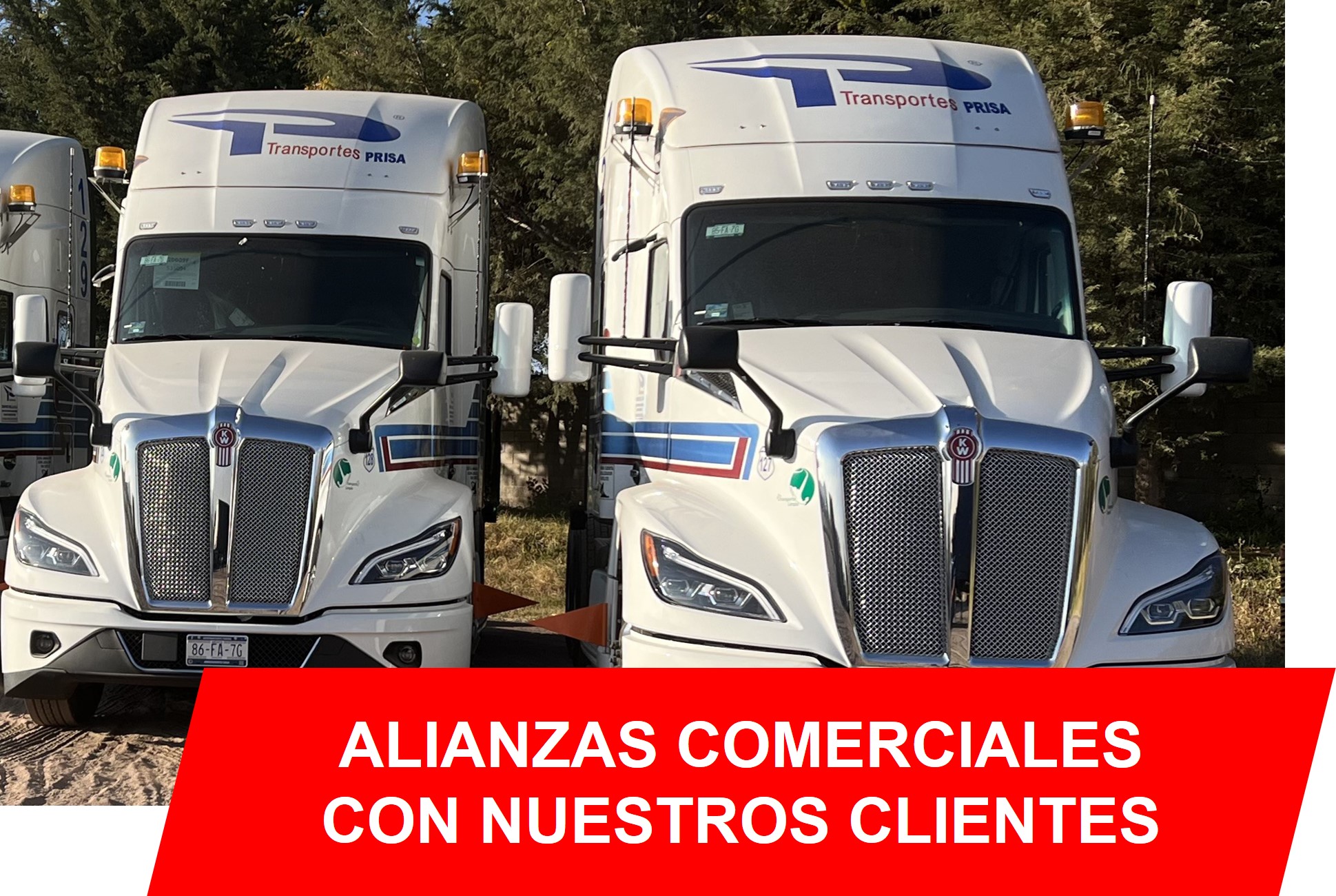 AutoTransporte